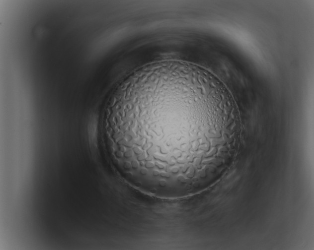 X0000101680194200807101429