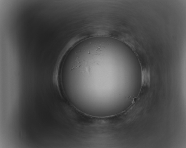 X0000101680195200807101429