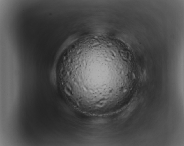 X0000101680198200807101429