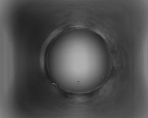 X0000101680199200807101429