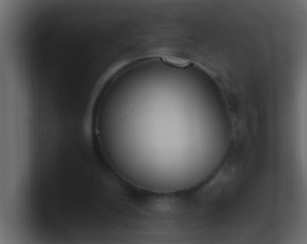 X0000101680200200807101429