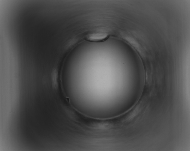 X0000101680201200807101429