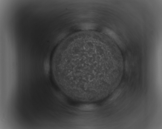 X0000101680202200807101429