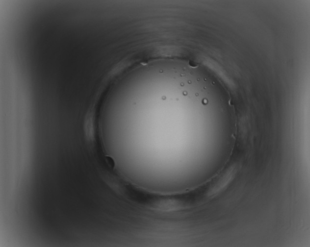 X0000101680203200807101429