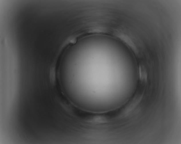 X0000101680204200807101429