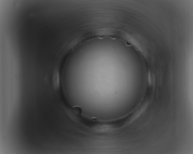 X0000101680205200807101429