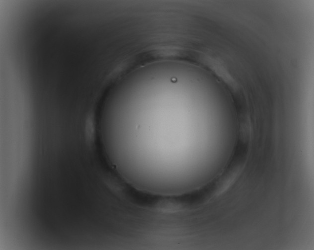 X0000101680207200807101429