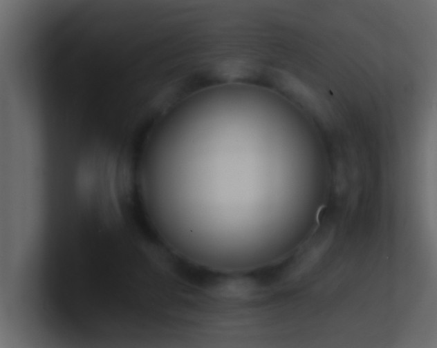 X0000101680210200807101428