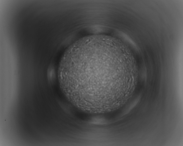 X0000101680214200807101428