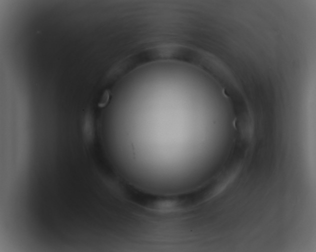 X0000101680216200807101428