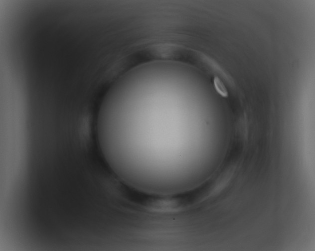 X0000101680217200807101428