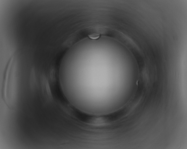 X0000101680218200807101428