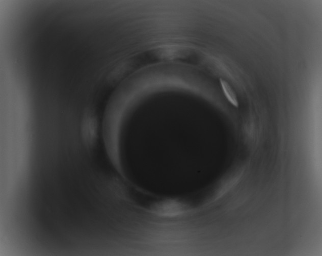 X0000101680219200807101428