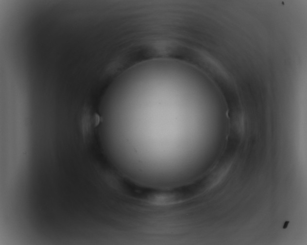 X0000101680220200807101428