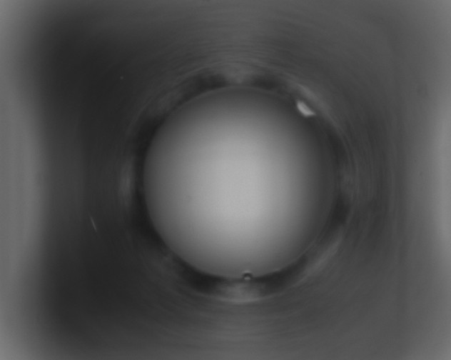 X0000101680221200807101428