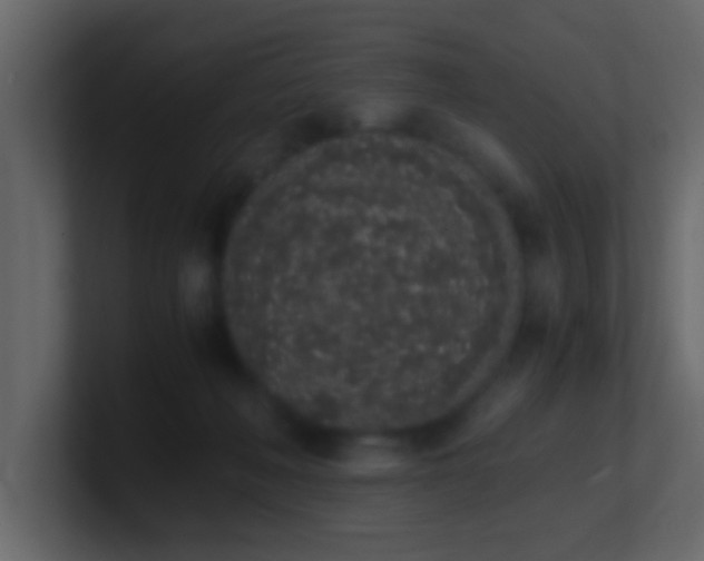 X0000101680222200807101428