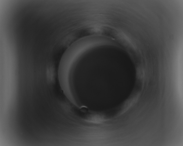 X0000101680223200807101428