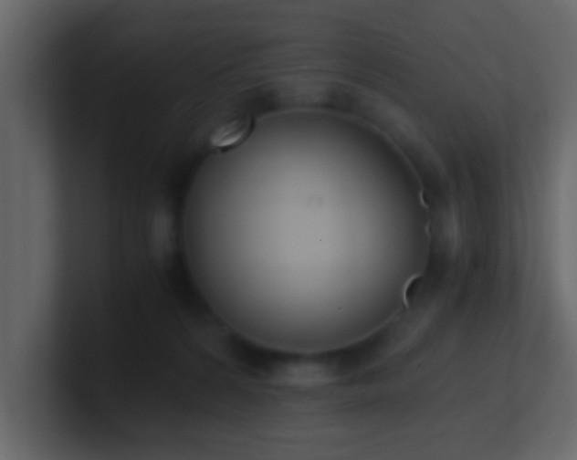 X0000101680224200807101428