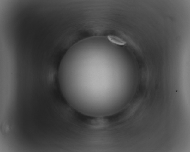 X0000101680225200807101428