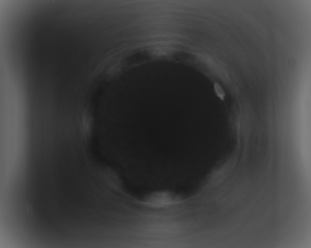 X0000101680227200807101428