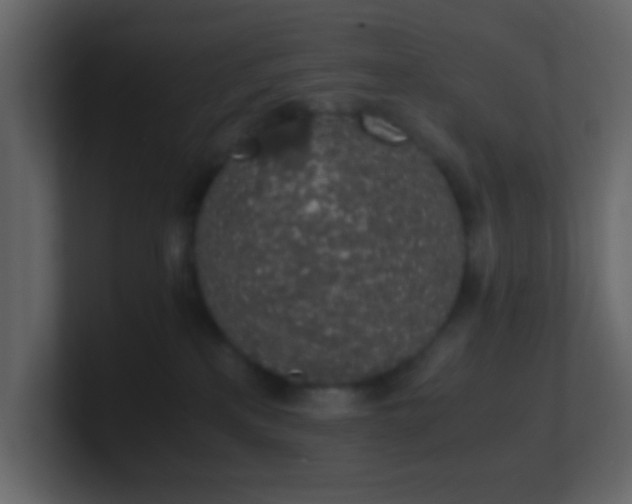 X0000101680233200807101428