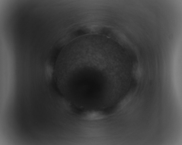 X0000101680235200807101428