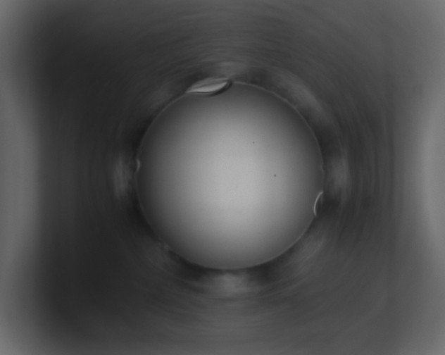 X0000101680236200807101428