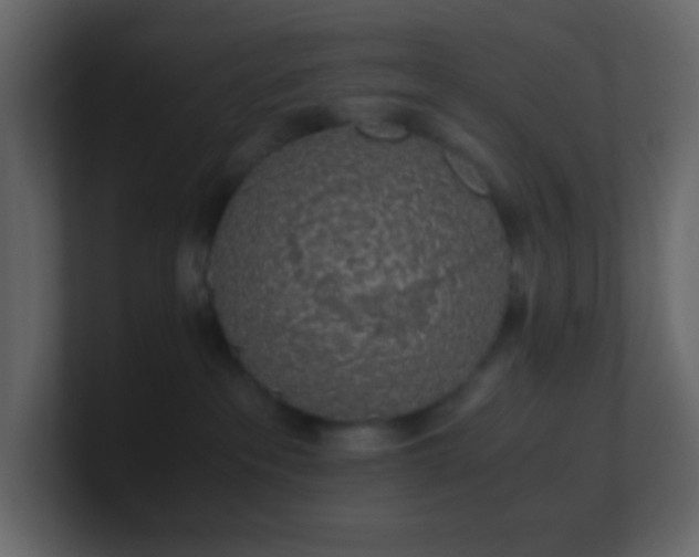 X0000101680237200807101428