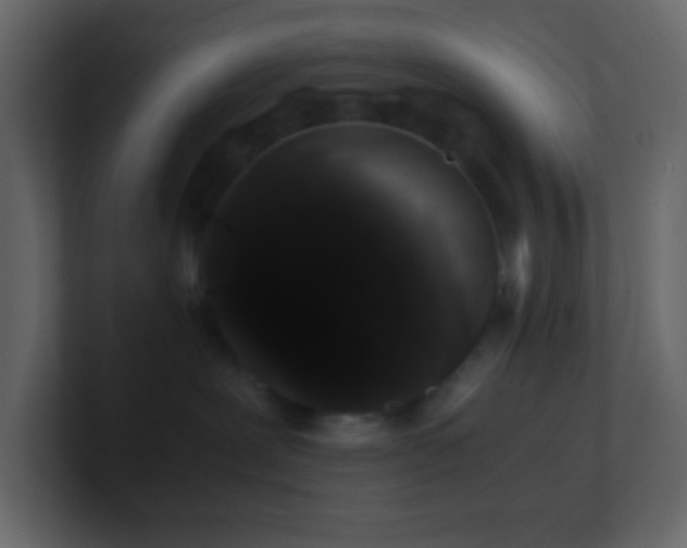 X0000101680239200807101428