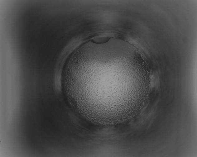 X0000101680243200807101427