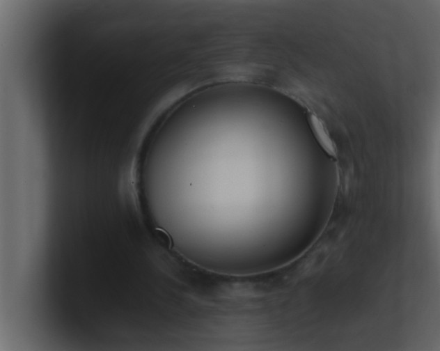 X0000101680244200807101427