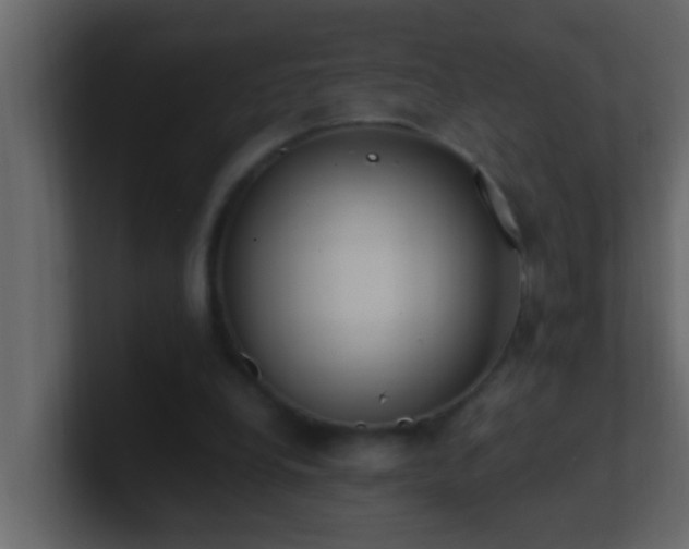 X0000101680248200807101427