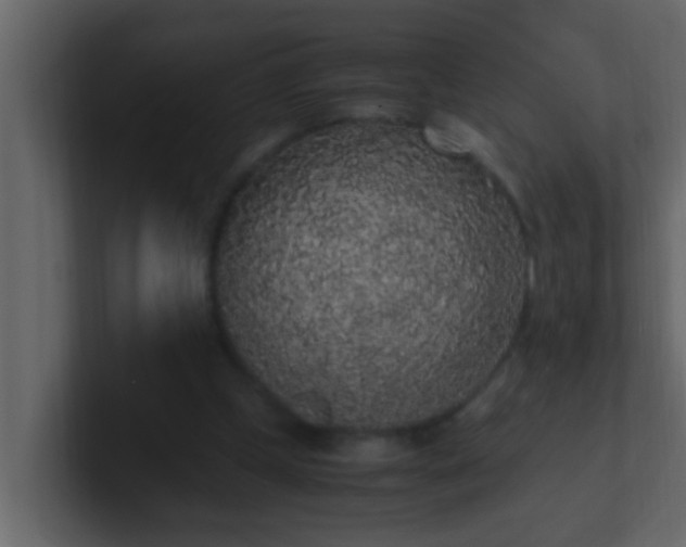 X0000101680249200807101427