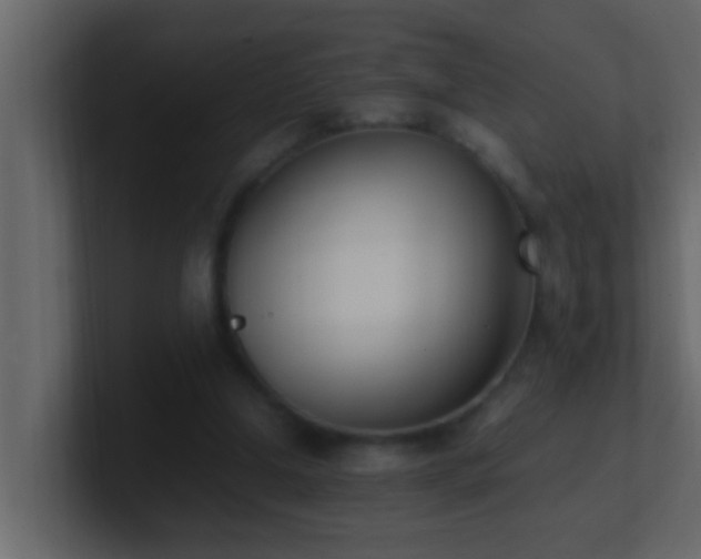 X0000101680250200807101428