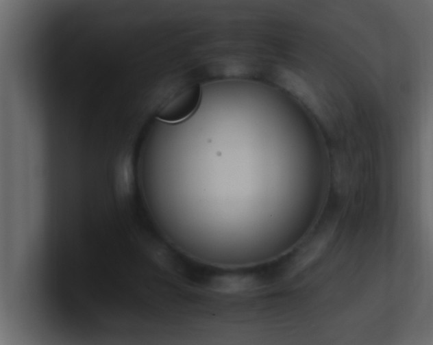 X0000101680251200807101428