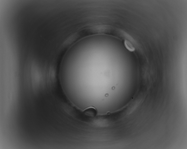 X0000101680258200807101428