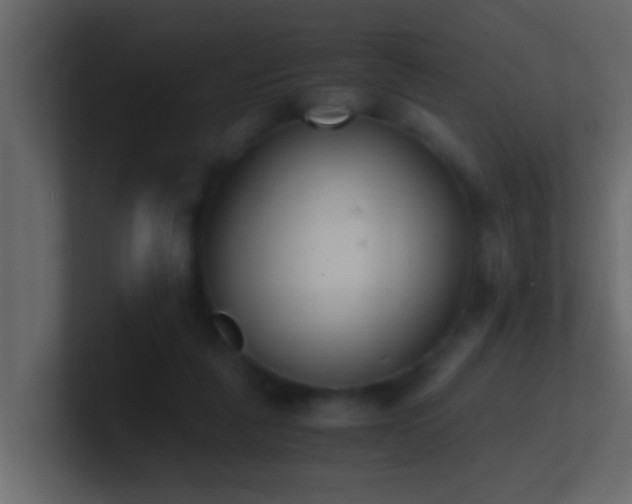 X0000101680259200807101428