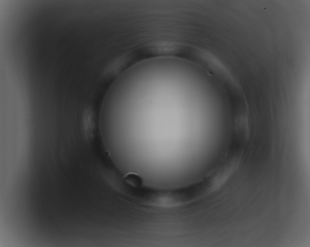 X0000101680264200807101428