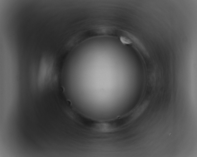 X0000101680265200807101428