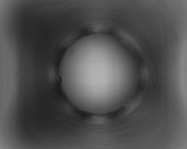 X0000101680272200807101428