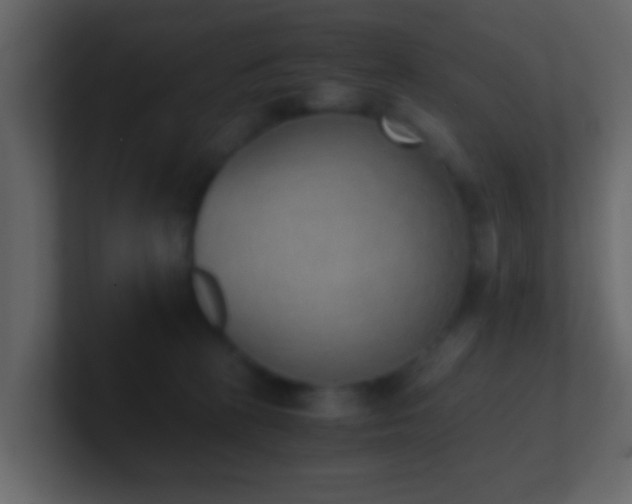 X0000101680273200807101428