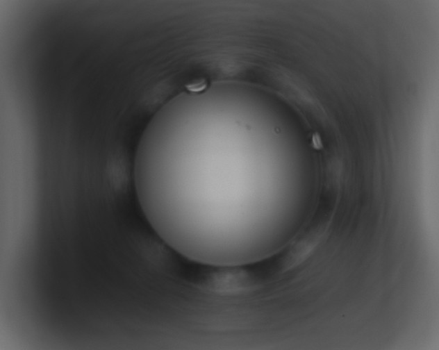 X0000101680274200807101428