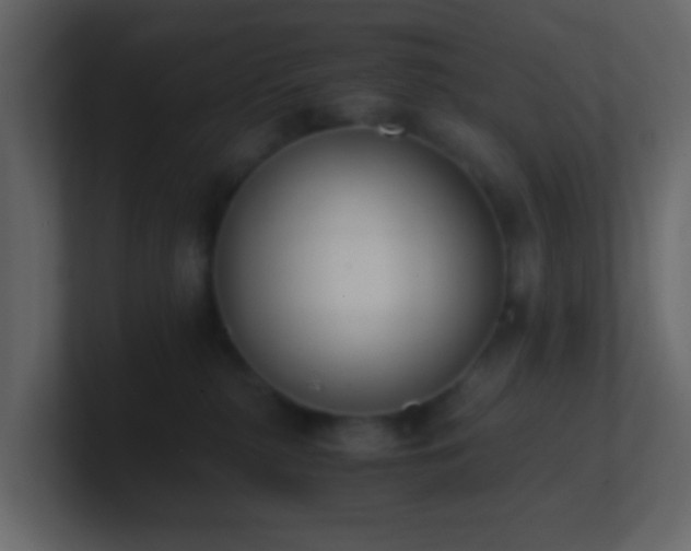 X0000101680279200807101428