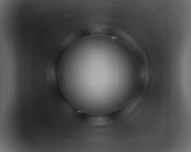 X0000101680282200807101428