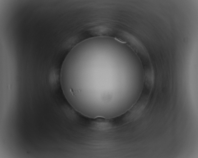 X0000101680284200807101428