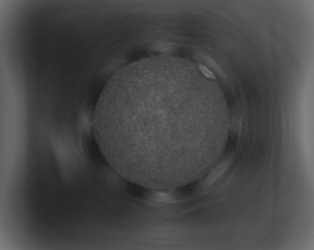 X0000101680285200807101428