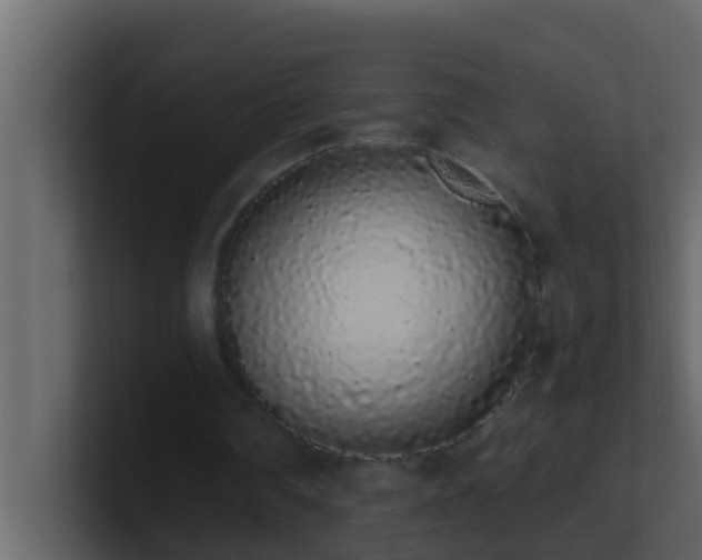 X0000101680290200807101427