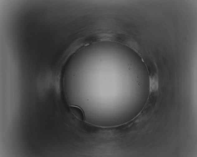 X0000101680291200807101427