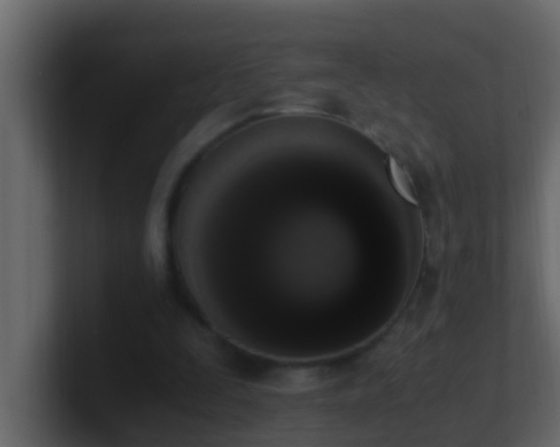 X0000101680295200807101427