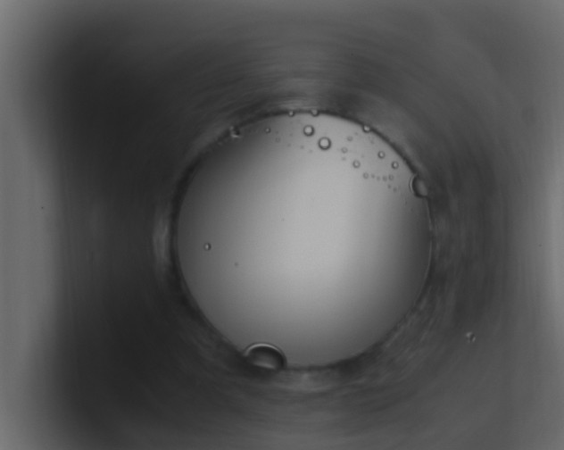 X0000101680297200807101427